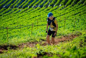 BIB: 3000
                            <button type="button" onclick="openModal(19161431)" class="btn btn-primary btn-sm float-right btn-popup" data-toggle="modal" data-target=".modal-high-quality">
                        <i class="fas fa-shopping-cart"></i> Add to Cart
                    </button>
                                            <button type="button" onclick="isThisMe(19161431, true)" class="btn btn-success btn-sm float-right btn-popup btn-isme hidden" data-toggle="tooltip" data-placement="bottom" title="นี่คือรูปของคุณใช่ไหม คลิกที่นี่เพื่อเอาเข้าอัลบั้ม">
                        <i class="fas fa-plus"></i> Add to album
                    </button>
                    <button type="button" onclick="isThisMe(19161431, false)" class="btn btn-warning btn-sm float-right btn-popup btn-isnotme hidden">
                        <i class="fas fa-ban"></i> Remove from album
                    </button>